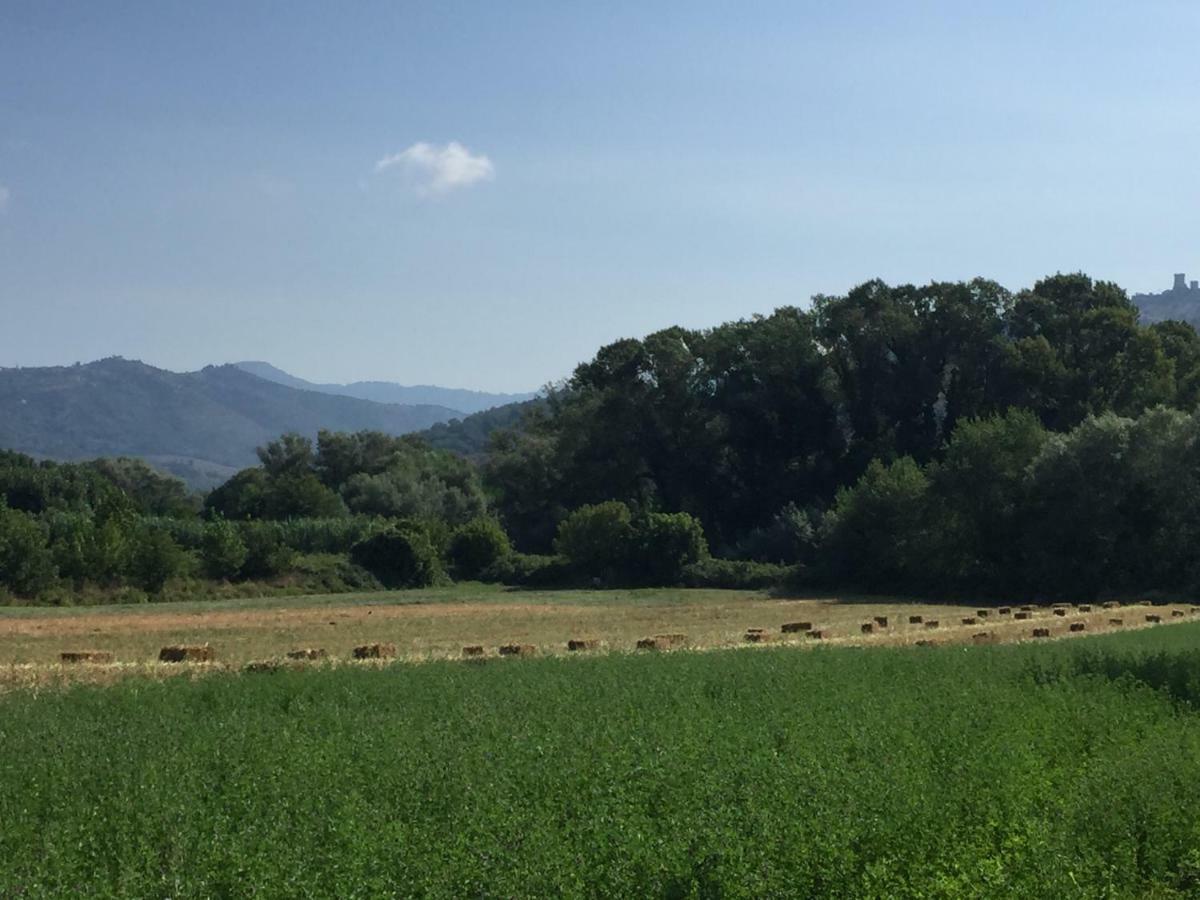 B&B La Nonnina Del Cilento Casal Velino Buitenkant foto