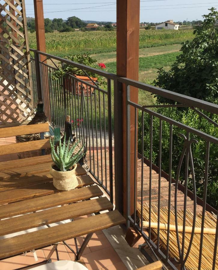 B&B La Nonnina Del Cilento Casal Velino Buitenkant foto